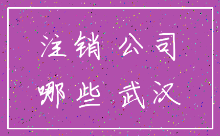注销 公司_哪些 武汉