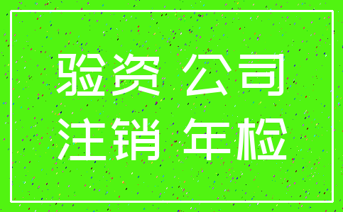 验资 公司_注销 年检