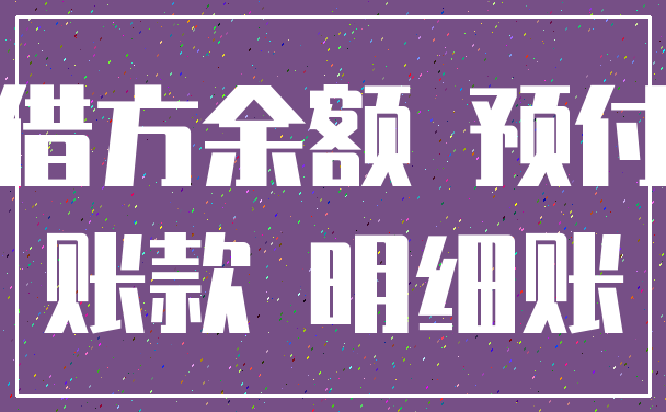 借方余额 预付_账款 明细账
