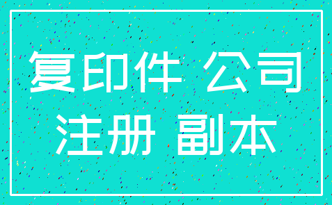 复印件 公司_注册 副本
