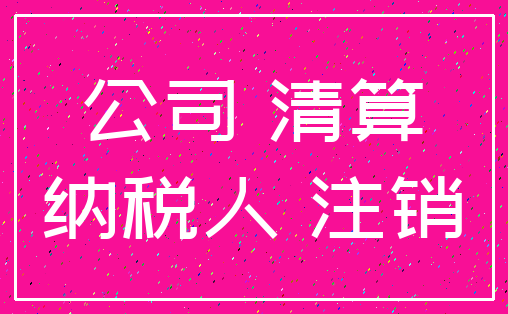 公司 清算_纳税人 注销
