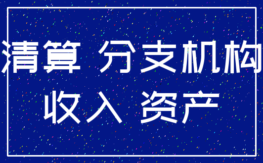清算 分支机构_收入 资产