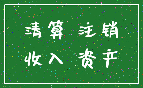 清算 注销_收入 资产