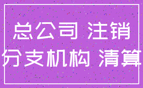 总公司 注销_分支机构 清算