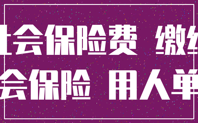 社会保险费 缴纳_社会保险 用人单位