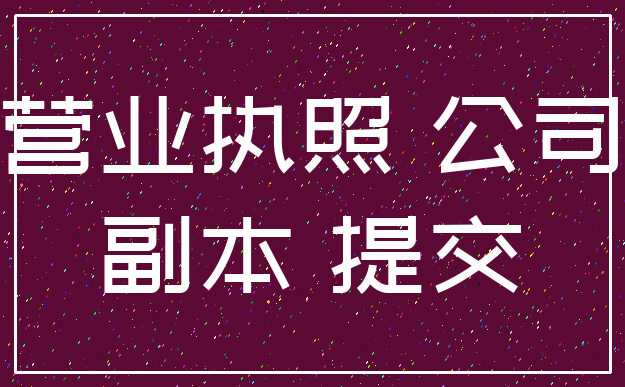营业执照 公司_副本 提交