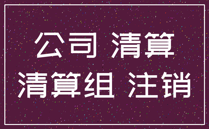 公司 清算_清算组 注销