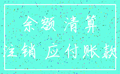 余额 清算_注销 应付账款