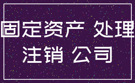 固定资产 处理_注销 公司