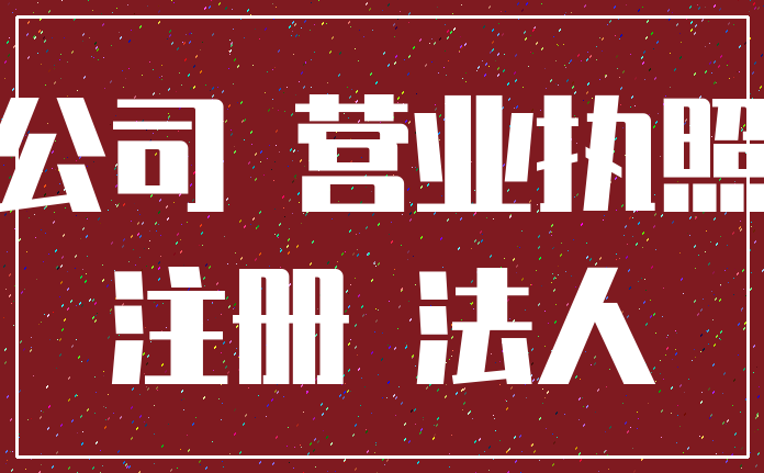 公司 营业执照_注册 法人