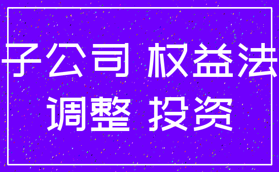 子公司 权益法_调整 投资