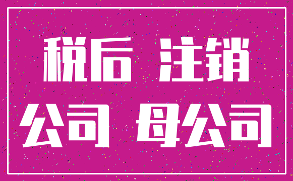 税后 注销_公司 母公司
