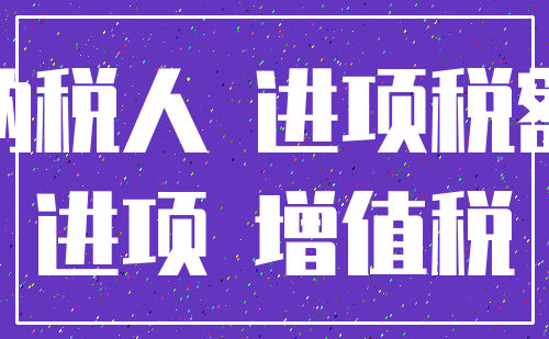 纳税人 进项税额_进项 增值税