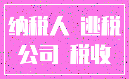 纳税人 逃税_公司 税收