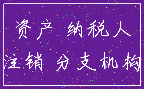 资产 纳税人_注销 分支机构