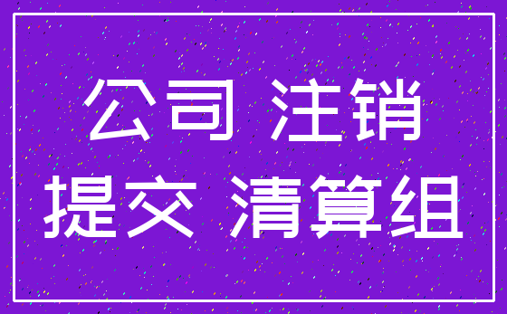 公司 注销_提交 清算组