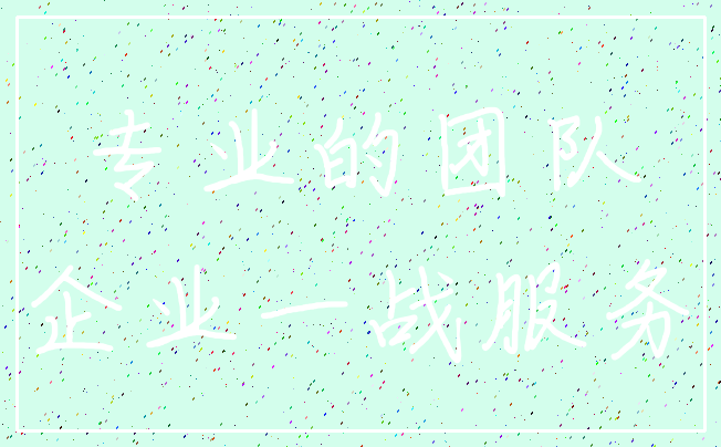 专业的团队_企业一战服务
