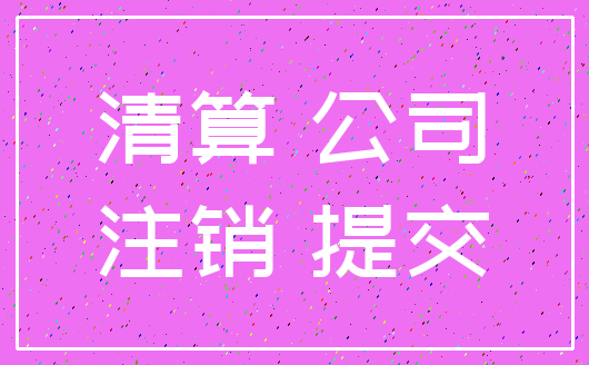 清算 公司_注销 提交