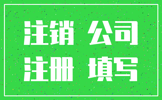 注销 公司_注册 填写