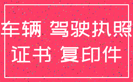 车辆 驾驶执照_证书 复印件