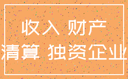收入 财产_清算 独资企业