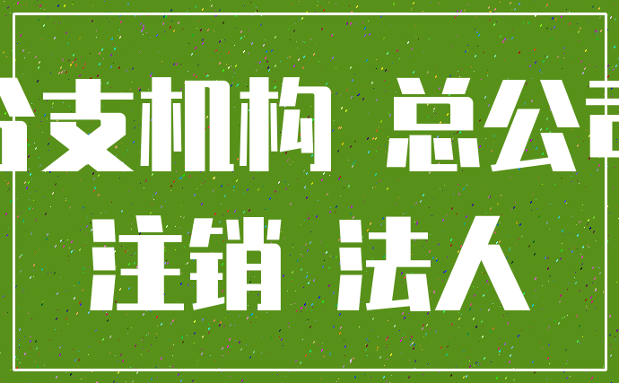 分支机构 总公司_注销 法人