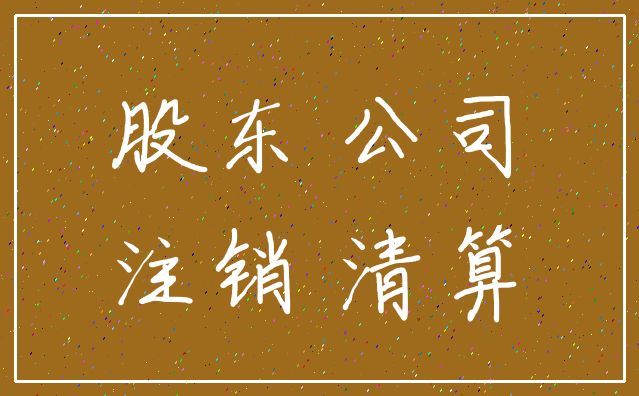 股东 公司_注销 清算