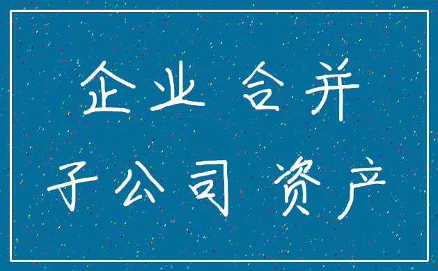 企业 合并_子公司 资产