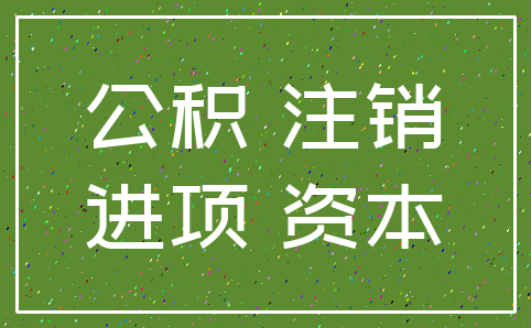 公积 注销_进项 资本