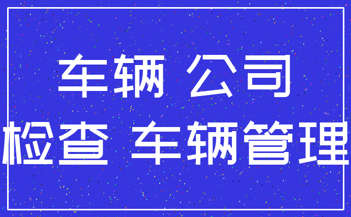 车辆 公司_检查 车辆管理