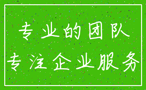 专业的团队_专注企业服务