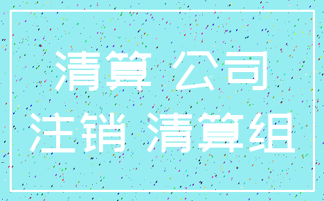 清算 公司_注销 清算组