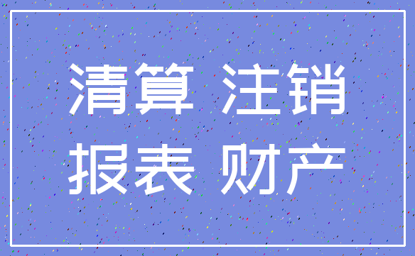 清算 注销_报表 财产