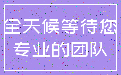 全天候等待您_专业的团队