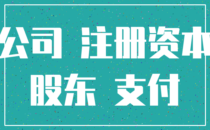 公司 注册资本_股东 支付