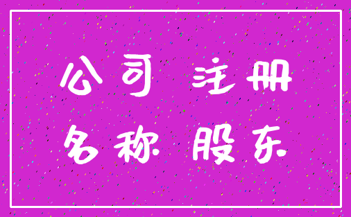 公司 注册_名称 股东