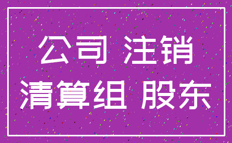 公司 注销_清算组 股东