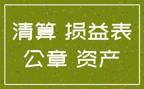 清算 损益表_公章 资产