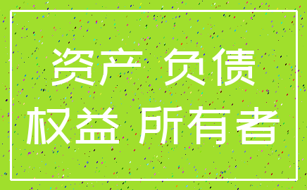 资产 负债_权益 所有者