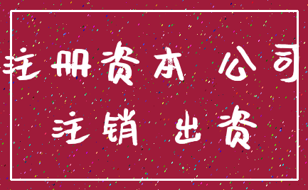 注册资本 公司_注销 出资