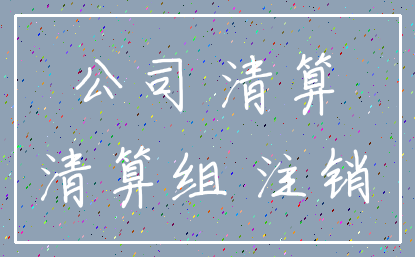 公司 清算_清算组 注销