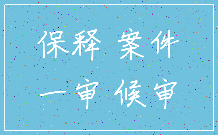 保释 案件_一审 候审