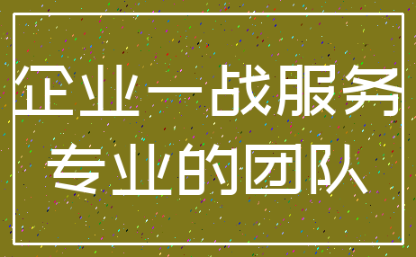 清算 公司_损益 注销