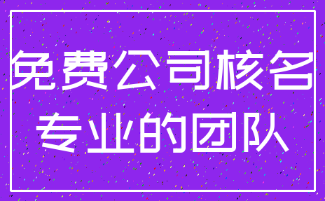 免费公司核名_专业的团队