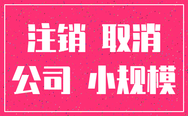 注销 取消_公司 小规模