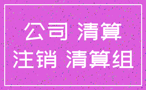 公司 清算_注销 清算组