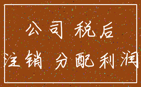 公司 税后_注销 分配利润