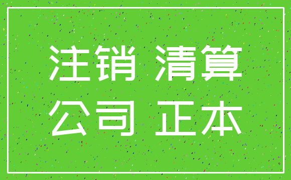注销 清算_公司 正本