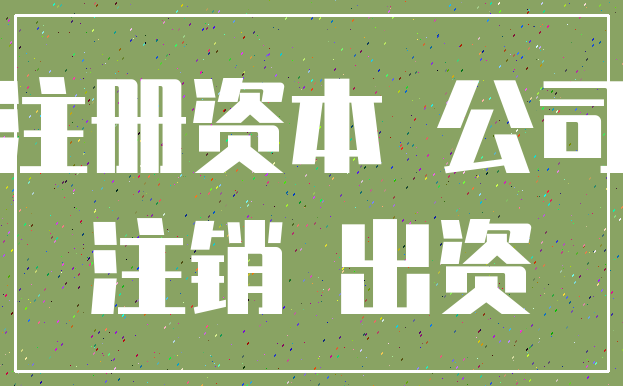 注册资本 公司_注销 出资
