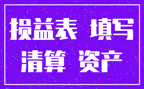 损益表 填写_清算 资产